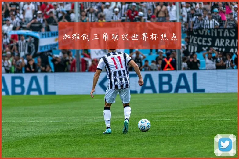 加维倒三角助攻世界杯焦点