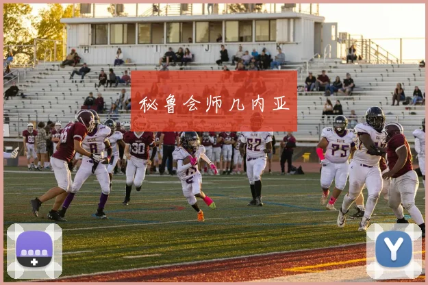 秘鲁会师几内亚