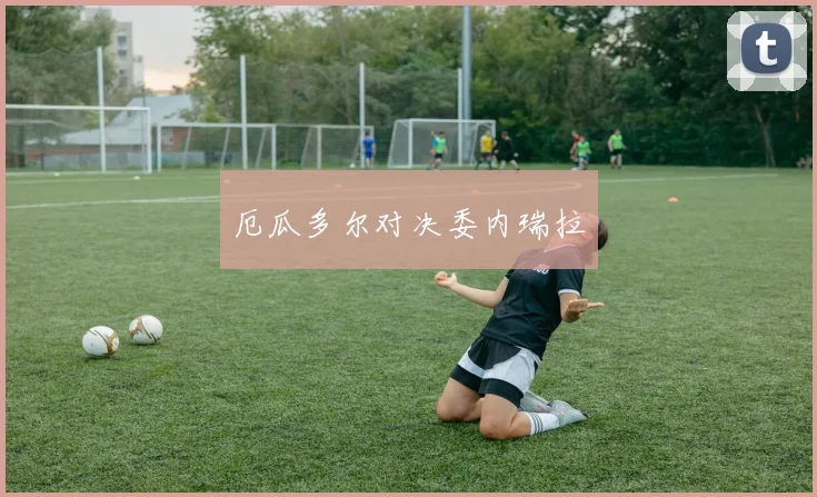 厄瓜多尔对决委内瑞拉