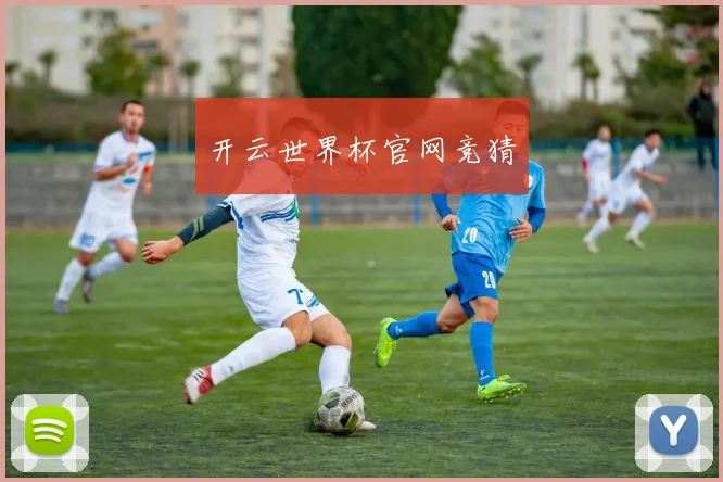 开云世界杯官网竞猜
