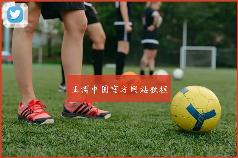 亚搏中国官方网站教程