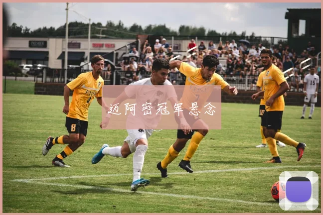 迈阿密冠军悬念
