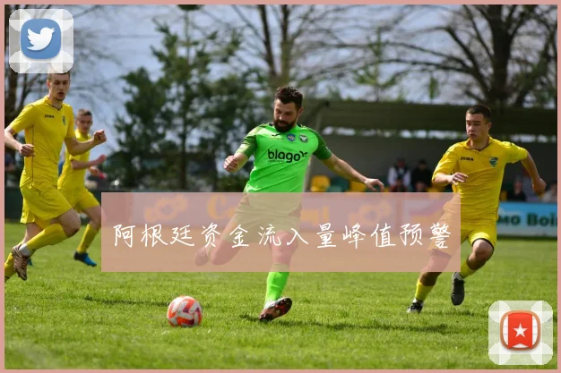 阿根廷资金流入量峰值预警