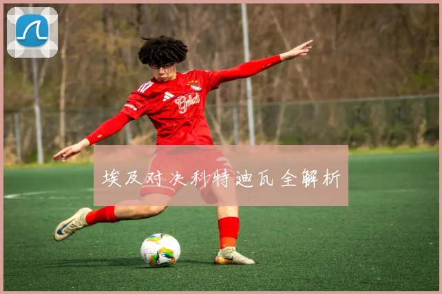 埃及对决科特迪瓦全解析