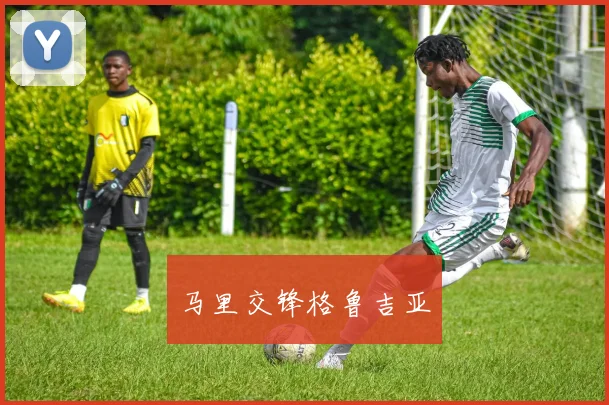 马里交锋格鲁吉亚