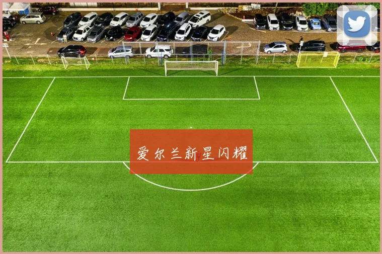 爱尔兰新星闪耀