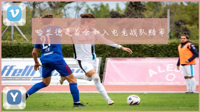 哈兰德是否会加入电竞战队赔率
