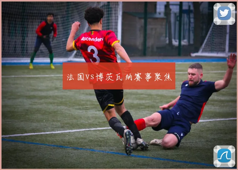 法国vs博茨瓦纳赛事聚焦
