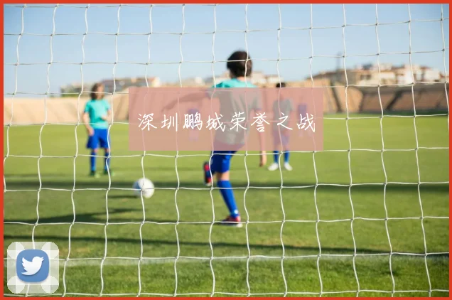 深圳鹏城荣誉之战