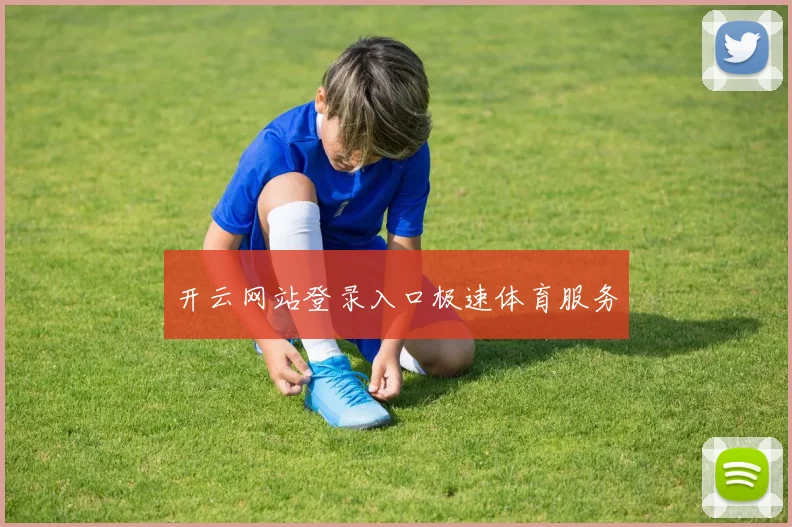 开云网站登录入口极速体育服务