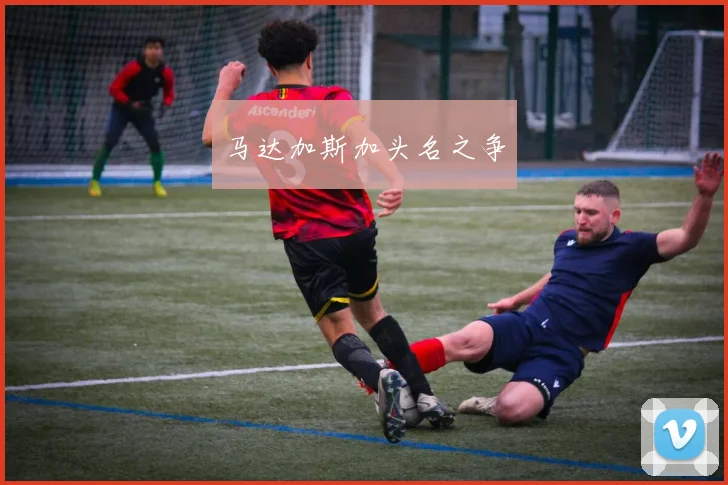 马达加斯加头名之争