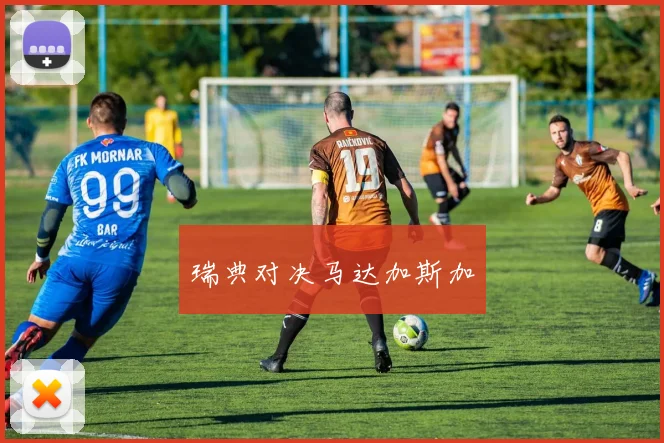 瑞典对决马达加斯加