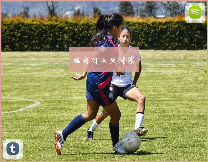 缅甸对决柬埔寨