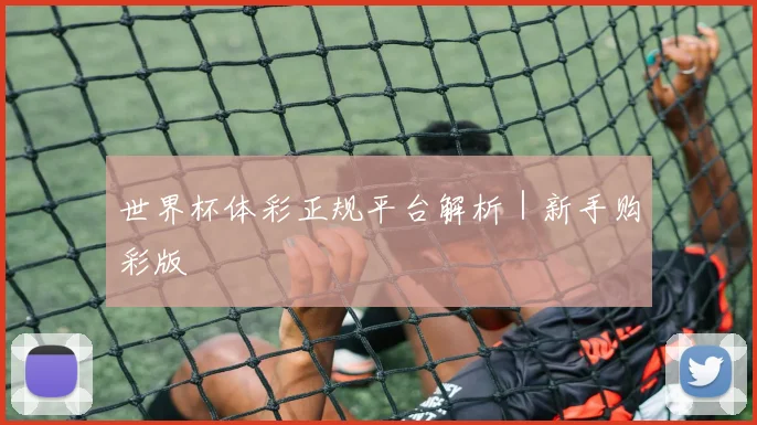 世界杯体彩正规平台解析｜新手购彩版