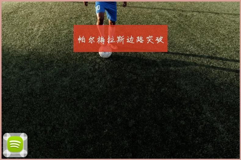 帕尔梅拉斯边路突破