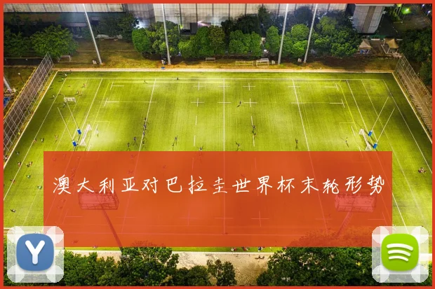 澳大利亚对巴拉圭世界杯末轮形势