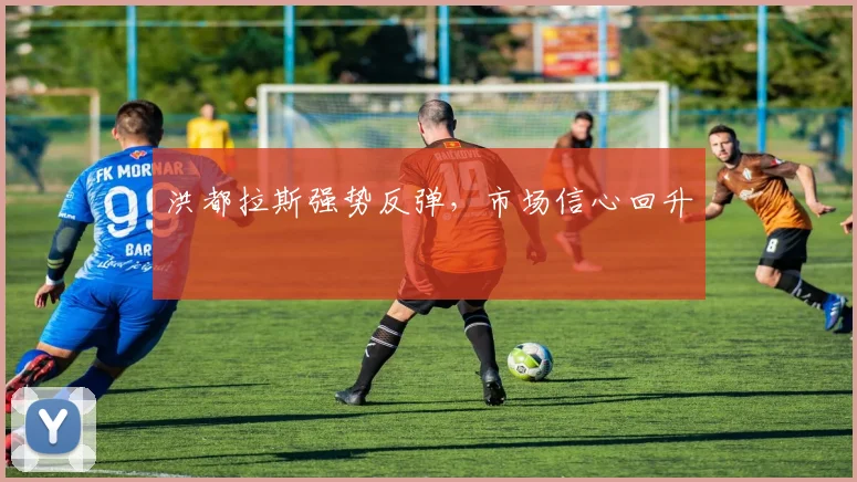洪都拉斯强势反弹，市场信心回升