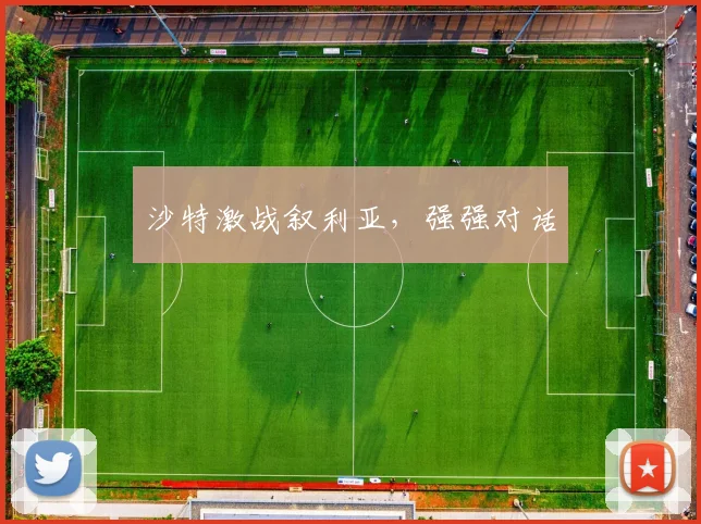 沙特激战叙利亚，强强对话