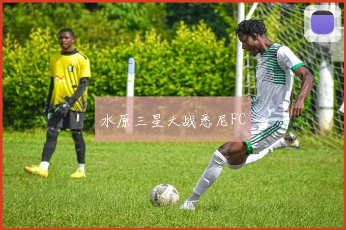 水原三星大战悉尼FC