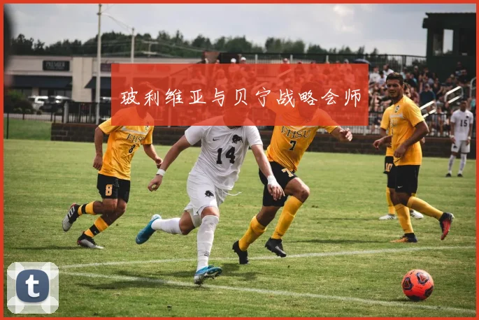 玻利维亚与贝宁战略会师