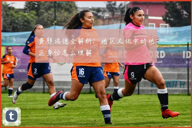 费耶诺德全解析:地区文化中的地区身份怎么理解