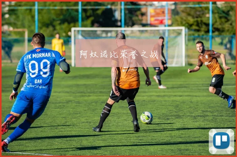 阿奴诺比荣誉之战