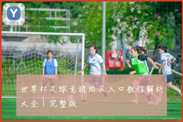 世界杯足球竞猜购买入口教程解析大全｜完整版