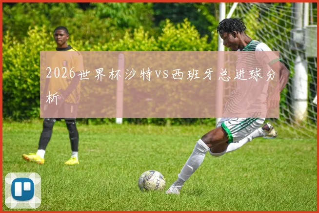 2026世界杯沙特vs西班牙总进球分析