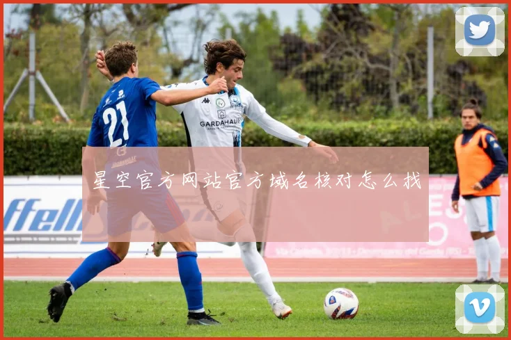 星空官方网站官方域名核对怎么找