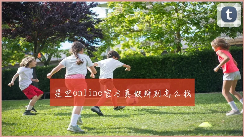 星空online官方真假辨别怎么找