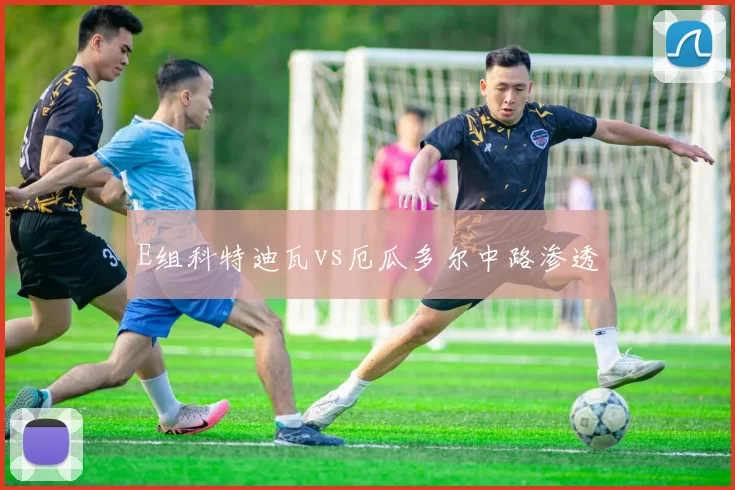 E组科特迪瓦vs厄瓜多尔中路渗透